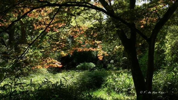 Bois des Moutiers (212) Mai 2012